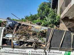 Best Attic Cleanout  in Brandermill, VA